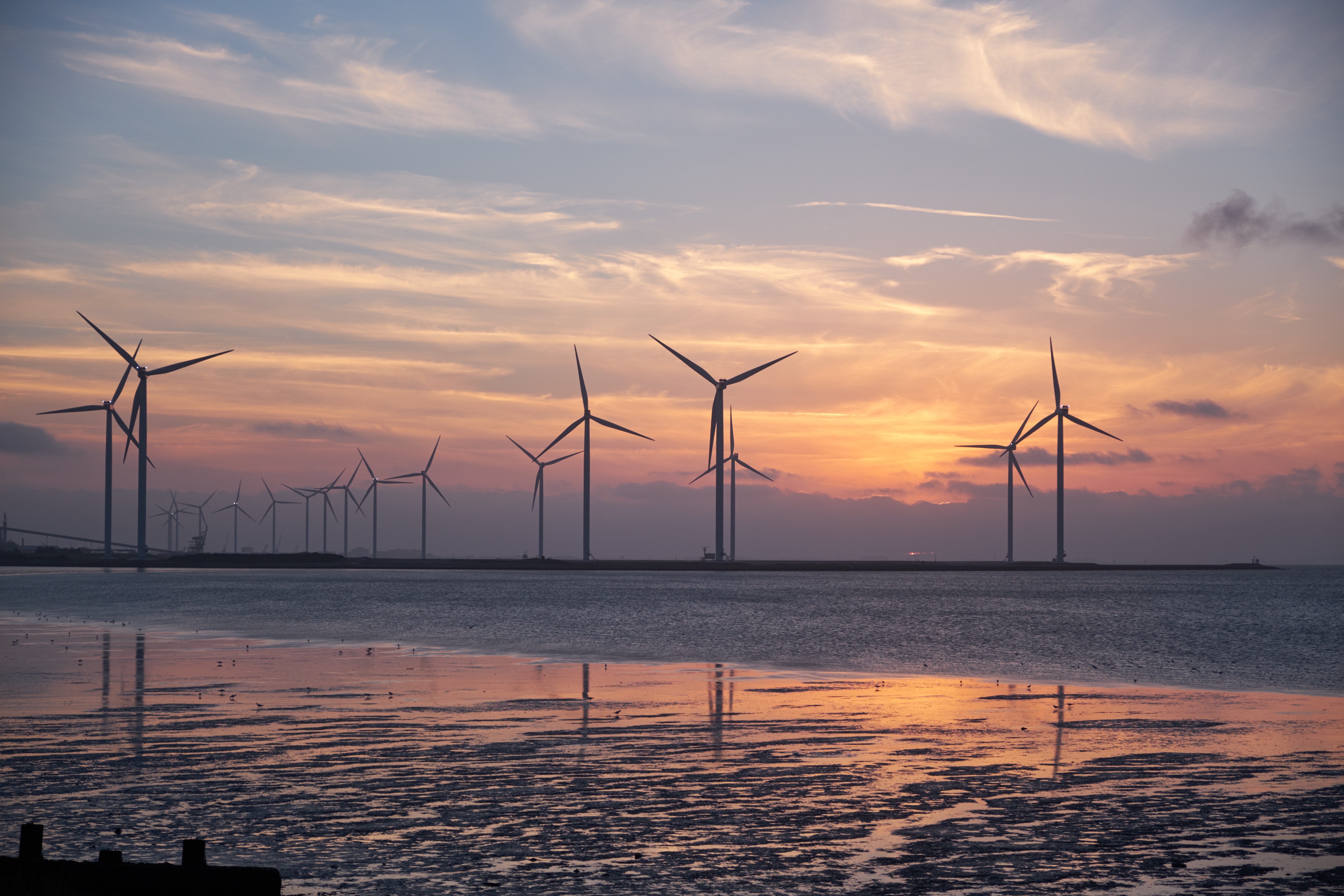 wind-farm-large